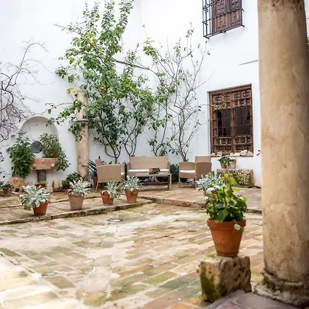 Historic Open House Cordoba-casa De Cabezas Appartement *